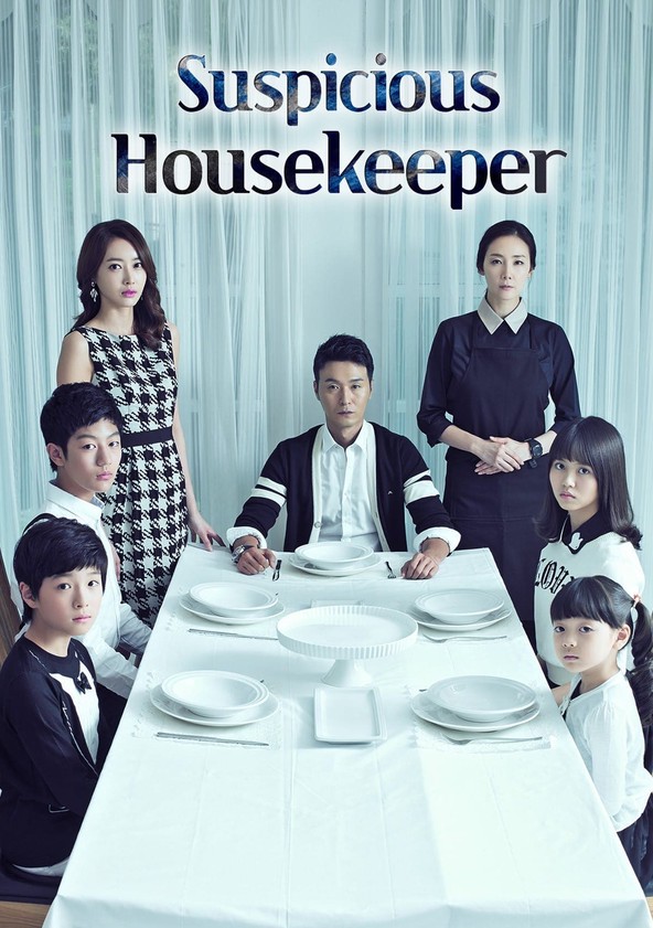 The Suspicious Housekeeper (2013)